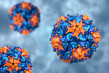 Poliovirus, an RNA virus from Picornaviridae family that causes polio disease - obrazy, fototapety, plakaty
