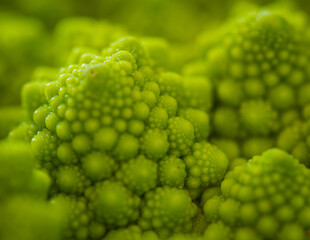 Closeup of green romanesque cabbage