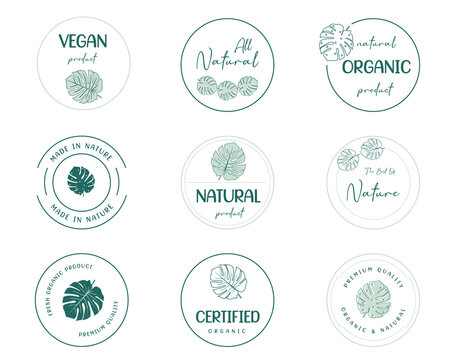 set of organic food, natural product icons and elements collection for food market. Vector illustrations for graphic, packaging design, marketing material, restaurant business.