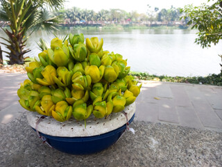 Spondias mombin, also known as yellow mombin or hog plum, Street food hawkers are very often found...