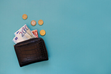 wallet and euro money. business, finance, saving, banking concept. copy space. background for...
