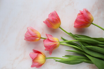 greeting card design. bouquet of tulips on a white background and space for text 