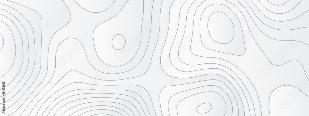Poster topographic map lines background. abstract vector illustration, topographic map and landscape terrai
