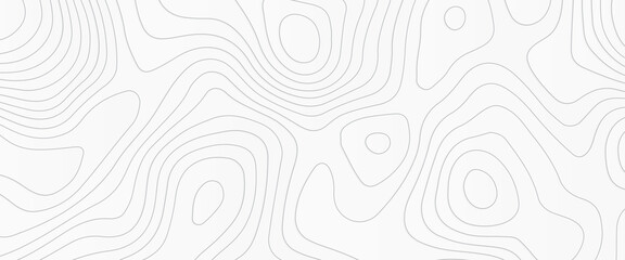 White wave paper curved reliefs abstract background, Abstract topographic contours map on concept of a conditional geography scheme and the terrain path. Dark on black, vector illustration.
