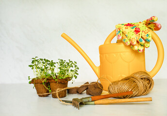 yellow watering can and young green plant in peat pots on a white background. gardening concept