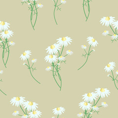 Floral seamless pattern chamomile pharmacy on a beige background.Vector botanical pattern can be used in packaging cosmetics,tea,pharmacy fees,textiles