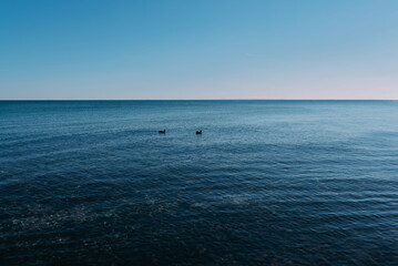 Obraz premium calm smooth sea against clear blue sky on sunny day, ocean background