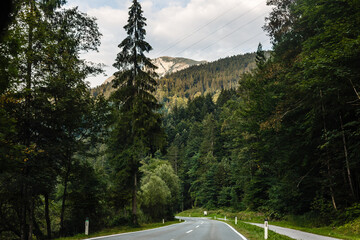 Road turning in the mountains, Alps background