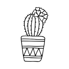 Fototapeta na wymiar Hand drawn doodle cactus. Vector succulent in pot. Houseplant. Outline.