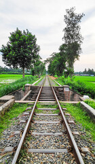 Fototapeta premium Railway line with green nature and cloudy sky in the countryside in Bangladesh