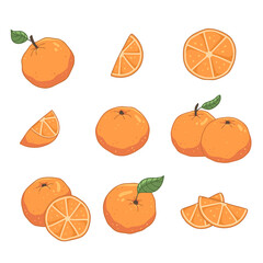 Set with oranges in cartoon style. A whole orange, a slice of orange. Isolated food illustration.