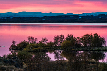 Myvatn lake at sunset with pink colors