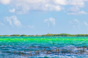 Muyil Lagoon panorama view landscape nature turquoise water Mexico.