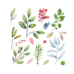 Floral watercolor elements isolated on white