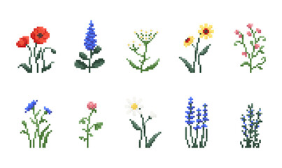 Set of Pixel art flowers. Vintage 90s gaming 8 bit icon of poppy, lavender, chamomile, clover, echinacea, rosemary, yarrow, knapweed, flowers. Vector pixel filed and wild flowers for game and print	