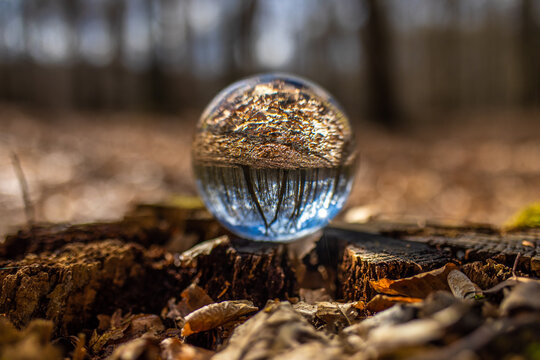 Blick durch eine Glaskugel im Wald gespiegelt