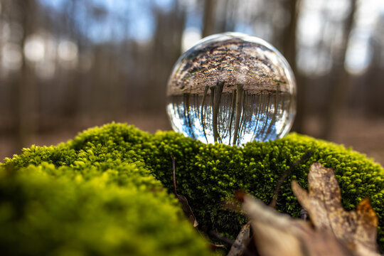 Blick durch eine Glaskugel auf Moos im Wald gespiegelt