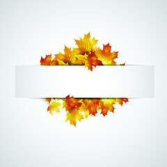 Autumn maple leaves background. Vector illustration