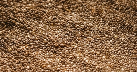 Closeup photo of natural dried chia seeds rotating