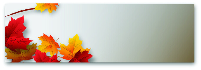 Autumn Time Background, Some fall leaves on weathered wood with copy space for your message