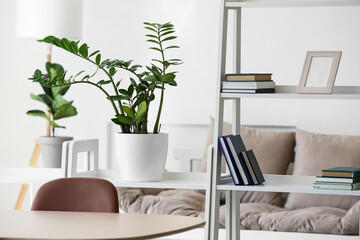 Book shelves with houseplant in living room