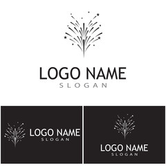 Fireworks Logo Template vector symbol