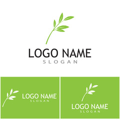 Leaf icon Vector Illustration design Logo template