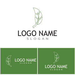Leaf icon Vector Illustration design Logo template