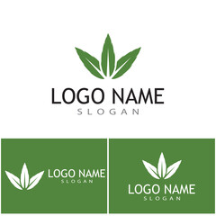 Leaf icon Vector Illustration design Logo template