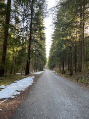 Fototapeta premium Gader Valley in Slovakia. Raod among trees ending in the perspective on a winter afternoon.