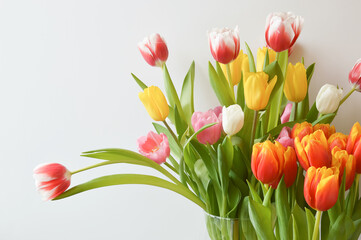 decoration for holidays, birthday, women's day, mother's day, Easter. A bouquet of colorful tulips.
