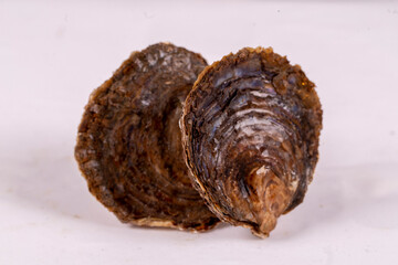 Ostra