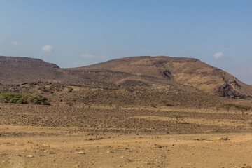 Fototapeta na wymiar View of the desert landscape of Djibouti