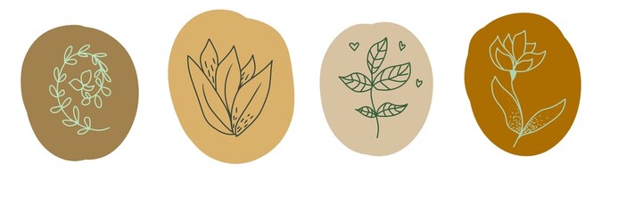 Doodle plants on colorful spots icon set. Flowers and leaf collection. 