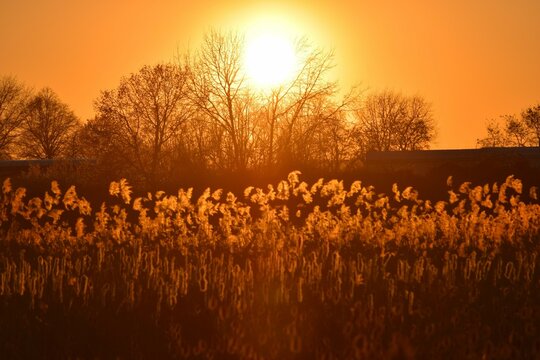 Spring sunset © Juergen