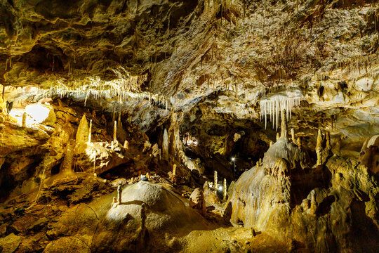 The bear cave pestera ursilor at chiscau in romania