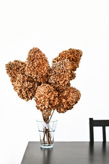 Bouquet of dried hydrangeas. Modern decor, white minimalistic background

