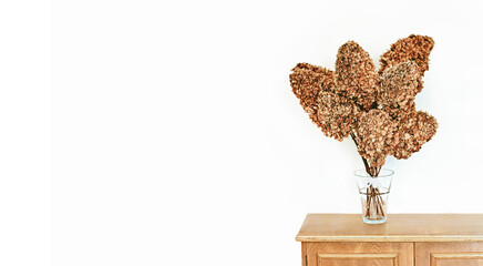 Bouquet of dried hydrangeas. Modern decor, white minimalistic background

