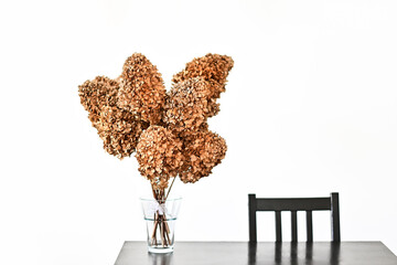 Bouquet of dried hydrangeas. Modern decor, white minimalistic background

 - obrazy, fototapety, plakaty