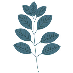 leaf flat design, isolated, vector