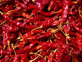Dried red chilies pile texture
