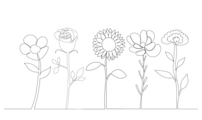 flowers drawing in one continuous line, isolated