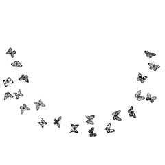Obraz na płótnie Canvas flying butterflies black silhouette, isolated vector