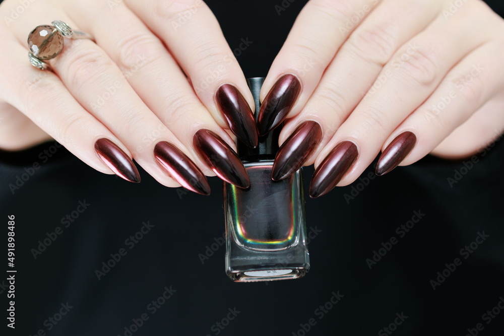 Wall mural Female hand with long nails and dark red bordo manicure holds a bottle of nail polish - Wall murals