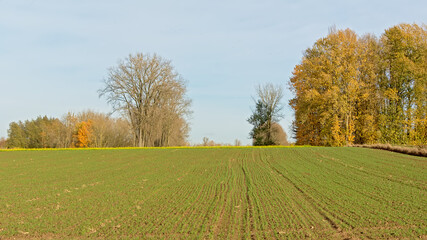 Autumn farm landscape in the Flemish countryside. Onkerzele, Belgium