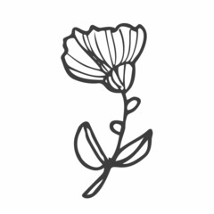 Obraz premium Hand drawn doodle flowers. Set of sketches of different summer flowers. Rose, tulip, dahlia, lily, chamomile and leaves line art. Vector illustration