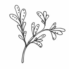 Floral doodle design elements. Hand drawn decorative leaves and wreaths. Flower ornament dividers. Tree branches with leaf and flowers.