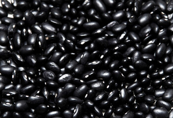 Black bean