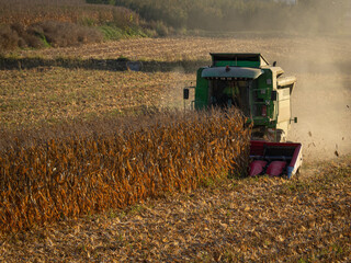 harvest field corn cornfield combine