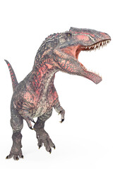 giganotosaurus is calling the others on white background © DM7